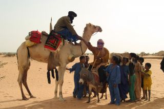 chameau et âne Ecole des sables